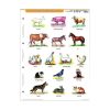 Student worksheet STIEFEL A/4 animals living around the house + worksheet