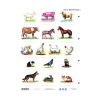 Student worksheet STIEFEL A/4 animals living around the house + worksheet