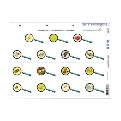Student worksheet STIEFEL A/4 between us and animals living with us + worksheet