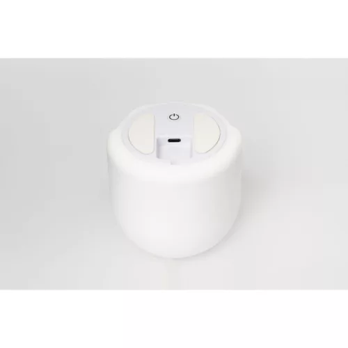 LED decoration , night light , child , penguin , soft silicone , USB , warm white , RGB , Asalite