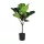 EGLO Living, 428021, YUBETSU, Artificial flower, Green, Black
