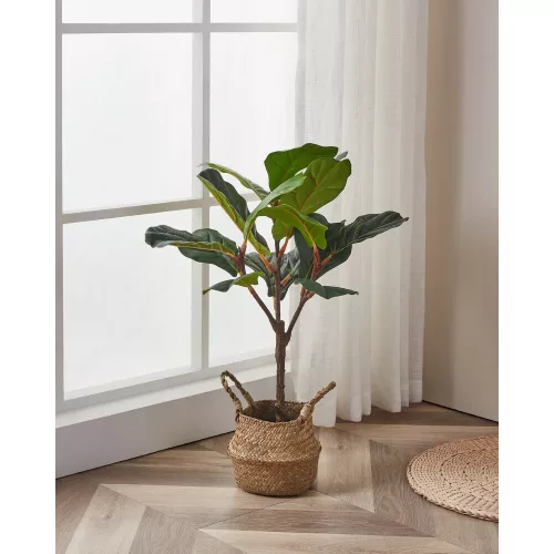 EGLO Living, 428021, YUBETSU, Artificial flower, Green, Black