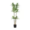 EGLO Living, 428023, YUBETSU, Artificial flower, Green, Black