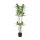 EGLO Living, 428023, YUBETSU, Artificial flower, Green, Black