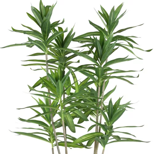 EGLO Living, 428023, YUBETSU, Artificial flower, Green, Black