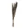 EGLO Living, 428156, IGNACE, Dried flower