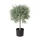 EGLO Living, 428342, YUBETSU, Artificial flower