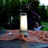 DRAGONFLY SOLAR LED PORTABLE 1 LIGHT  WHITE
