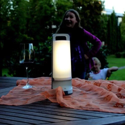 DRAGONFLY SOLAR LED PORTABLE 1 LIGHT  WHITE