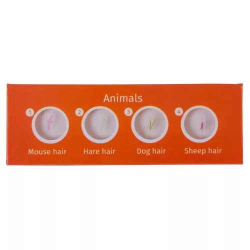 Levenhuk LabZZ C12 Living Things - Prepared Slide Set