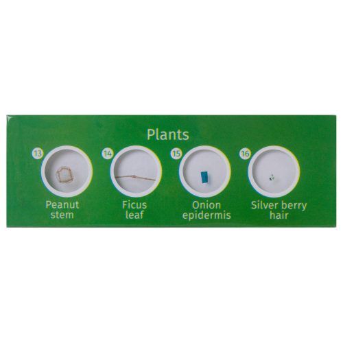 Levenhuk LabZZ P12 Plants – prepared slide set