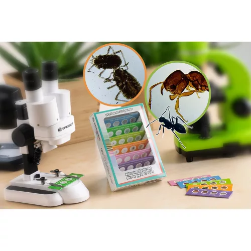 Bresser Junior Experiment Kit Microscope Starter Kit