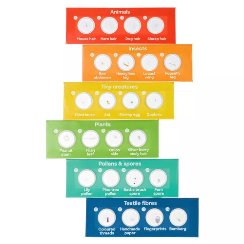 (HU) Levenhuk Discovery Centi 02 Microscope and Book