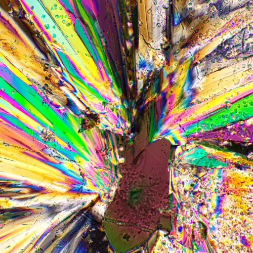 MAGUS SPD2 polarizer/analyzer kit