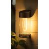Modee Lighting LED Solar Wall Lamp WS135 (60 lumens)