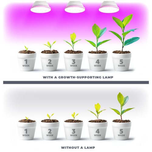 LED plant grower LED light source LED PLANTY W E27 9W E27 1200K White Kobi Design
