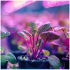 LED plant grower LED light source LED PLANTY B E27 9W E27 1200K Black Kobi Desing