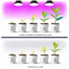 LED plant grower LED light source LED PLANTY B E27 9W E27 1200K Black Kobi Desing