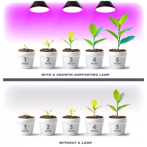 LED plant grower LED light source LED PLANTY B E27 9W E27 1200K Black Kobi Desing