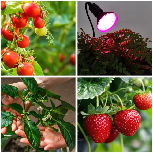 LED plant growth lamp LED PLANTY CLIP B 1xE27 Black Kobi Design