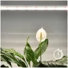 LED grow light LED GROWLY 15W – Kobi Design