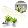 LED grow light LED GROWLY 15W – Kobi Design