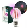 LED plant grower LED light source LED PLANTY FGS 8W E27 1200K – Kobi Design