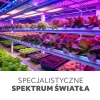 LED plant grower LED light source LED PLANTY FGS 8W E27 1200K – Kobi Design