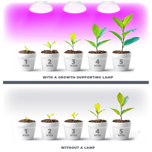 LED plant grower LED light source LED PLANTY B E27 7W E27 1200K white Kobi Design