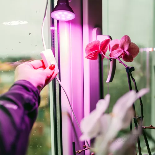 LED plant grower LED light source LED PLANTY B E27 7W E27 1200K black Kobi Design