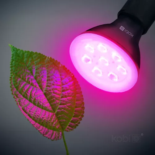 LED plant grower LED light source LED PLANTY B E27 7W E27 1200K black Kobi Design