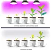 LED plant grower LED light source LED PLANTY B E27 7W E27 1200K black Kobi Design