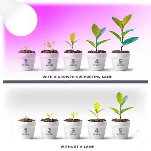 LED plant grower LED light source LED PLANTY GS E27 11W E27 1200K Kobi Design