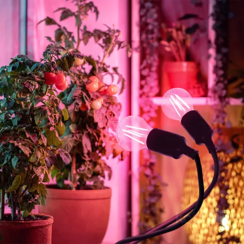 LED plant growth lamp LED PLANTY CLIP W DUO 1xE27 black Kobi Design