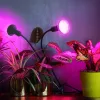 LED plant growth lamp LED PLANTY CLIP W DUO 1xE27 black Kobi Design