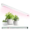 LED grow light LED GROWLY 9W – Kobi Design