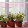 LED grow light LED GROWLY 9W – Kobi Design