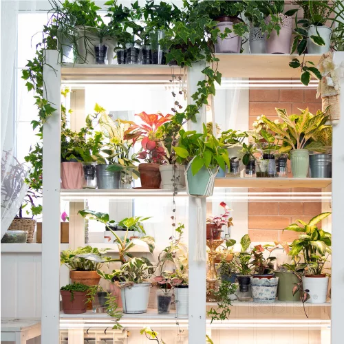 LED plant growth lamp LED GROWLY 2×8.5W – Kobi Design