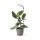 LED plant growth lamp LED VERDI V2 5W 1300K white Kobi Design white