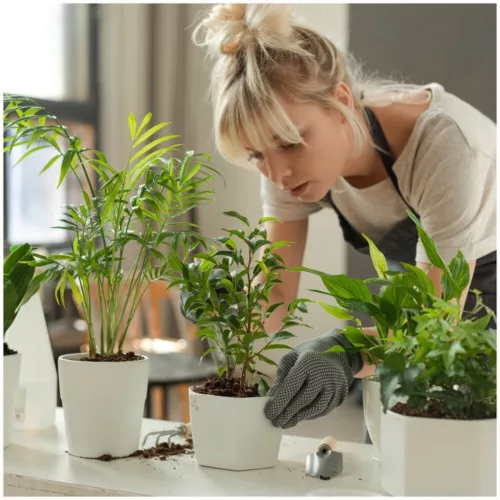 LED plant growth lamp LED VERDI V2 5W 1300K Kobi Design black