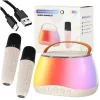 Bluetooth karaoke speaker USB 2 microphones