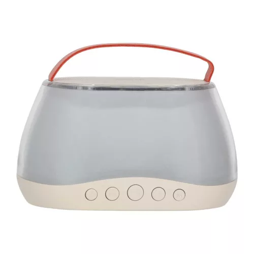 Bluetooth karaoke speaker USB 2 microphones