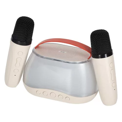 Bluetooth karaoke speaker USB 2 microphones