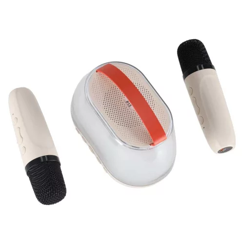 Bluetooth karaoke speaker USB 2 microphones