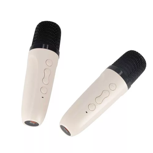 Bluetooth karaoke speaker USB 2 microphones