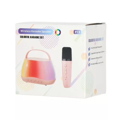 Bluetooth karaoke speaker USB 2 microphones