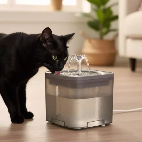 Drinking fountain for animals watering bowl