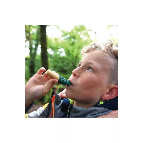 Hape bamboo nature exploration set