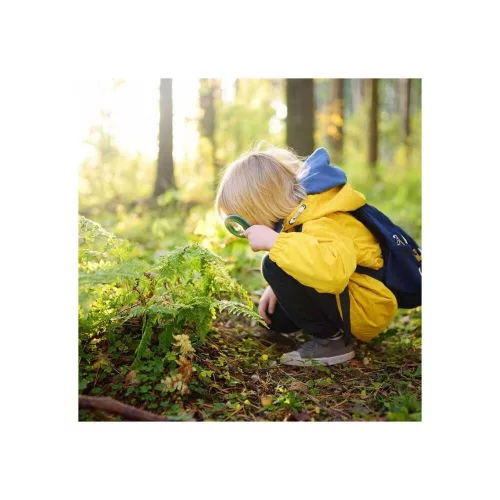 Hape bamboo nature exploration set