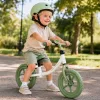 Trike Fix Balance cross-country bike with bell green